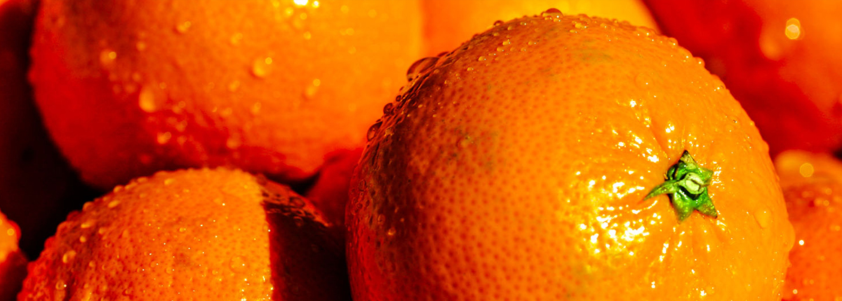 网络手机号呼叫软件免费版