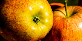 呼死你电话轰炸机